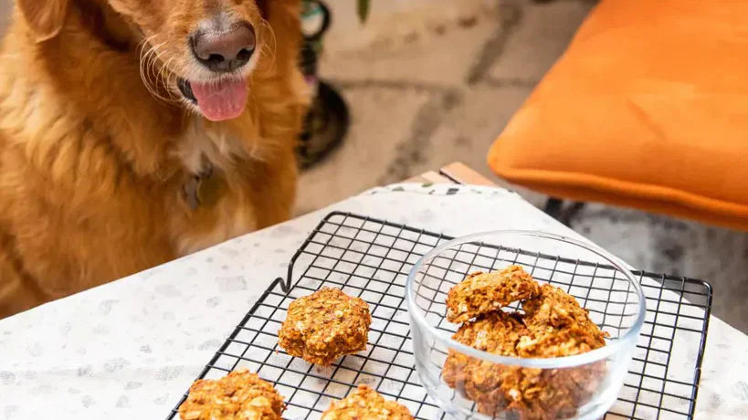 Pulpy Dog Treats